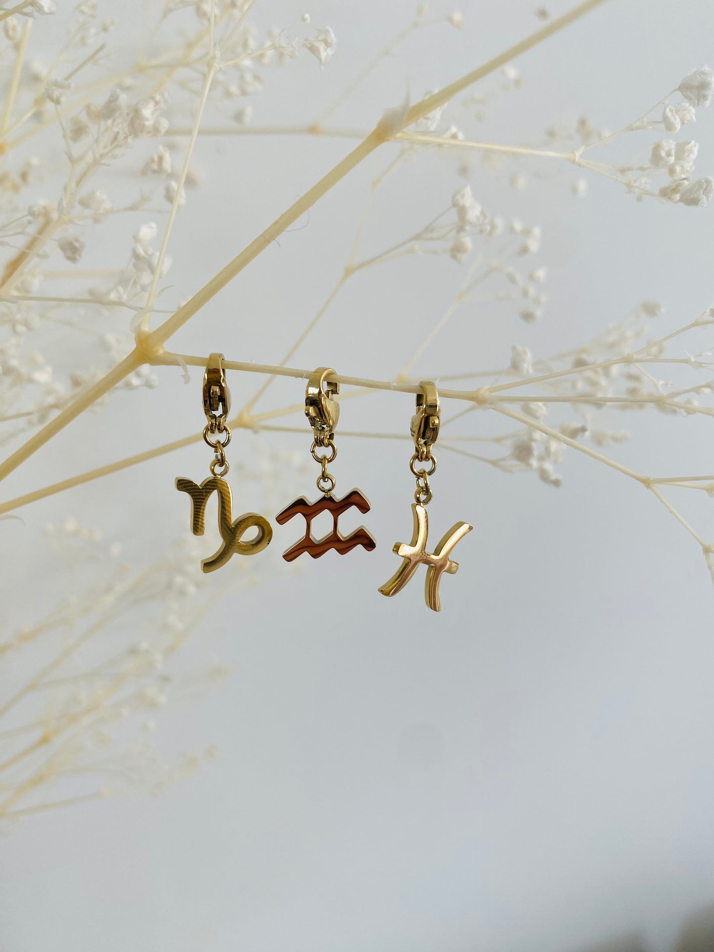 Pendentif Signe astrologique