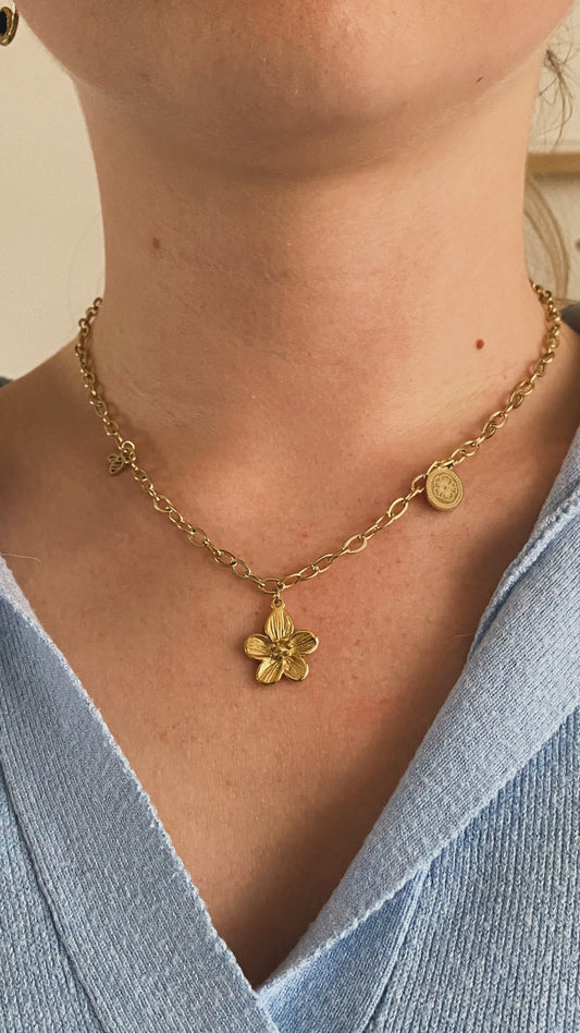 Collier Hailie