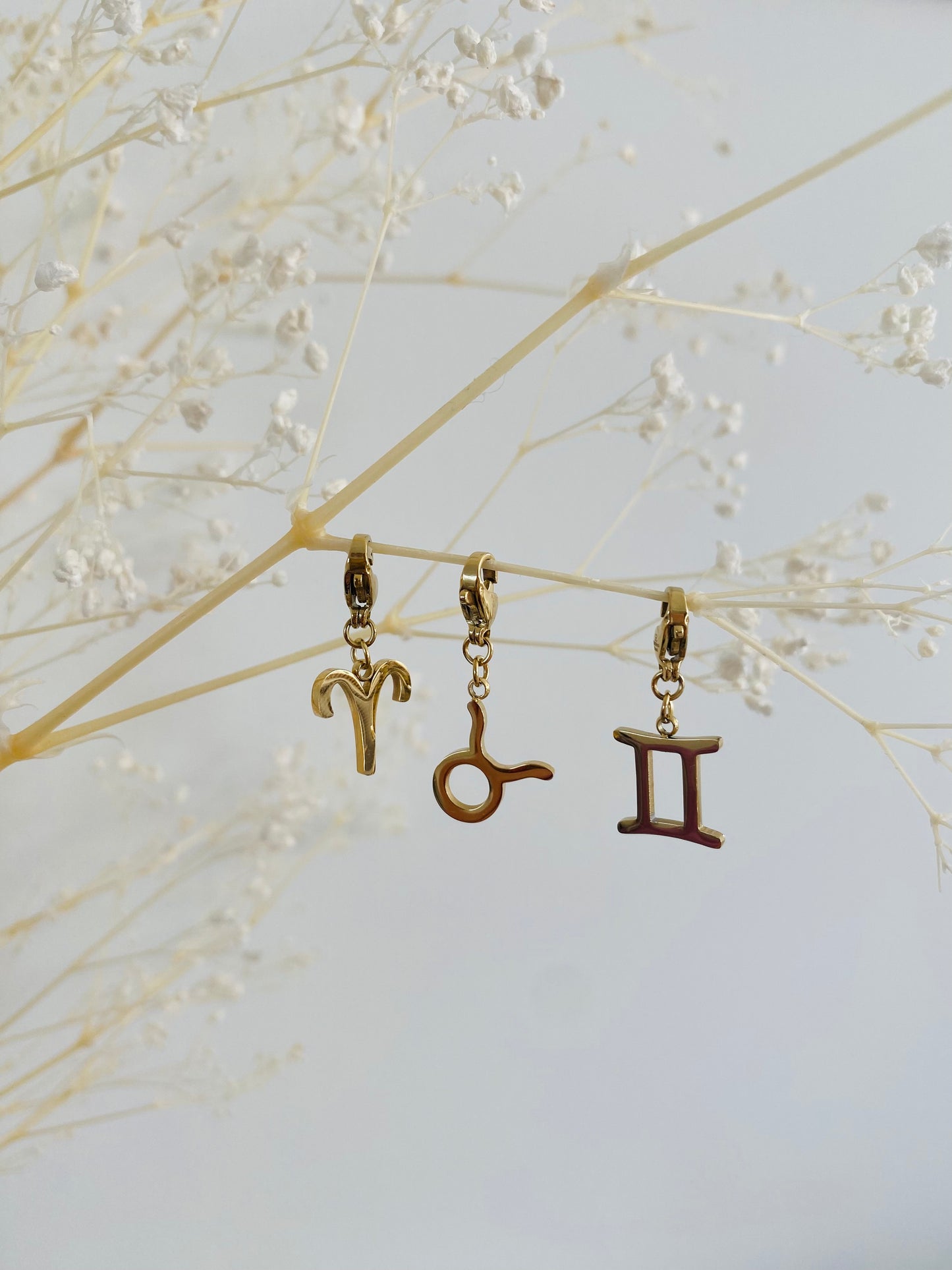 Pendentif Signe astrologique