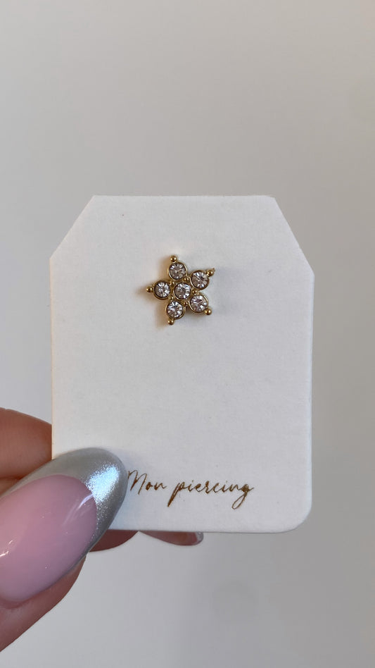 Piercing Rosace