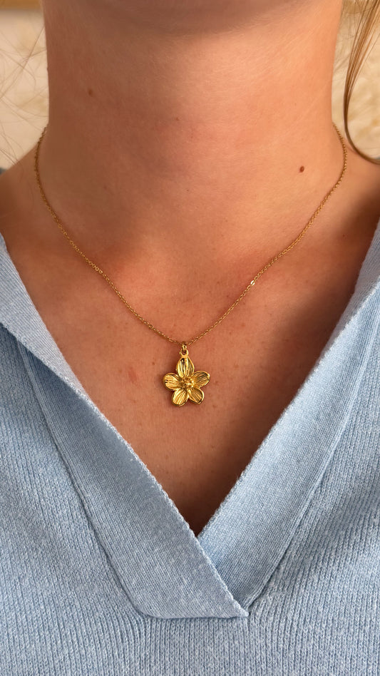 Collier Bertille